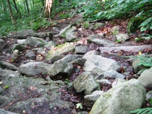 Harmon Hill trail